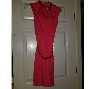Cache dress size 0